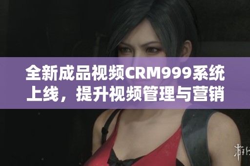 全新成品视频CRM999系统上线，提升视频管理与营销效率