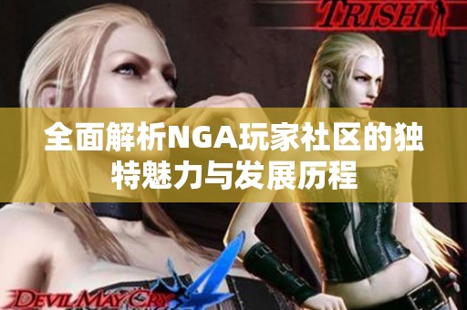 全面解析NGA玩家社区的独特魅力与发展历程