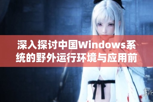 深入探讨中国Windows系统的野外运行环境与应用前景