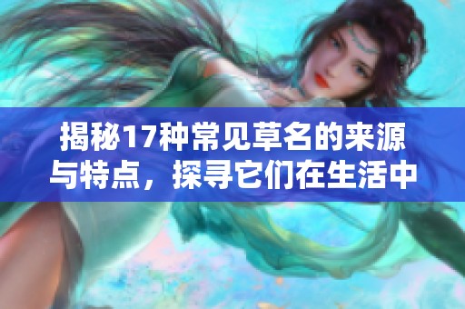 揭秘17种常见草名的来源与特点，探寻它们在生活中的应用与价值