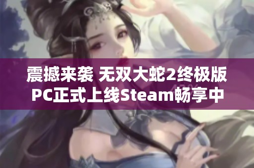 震撼来袭 无双大蛇2终极版PC正式上线Steam畅享中文支持